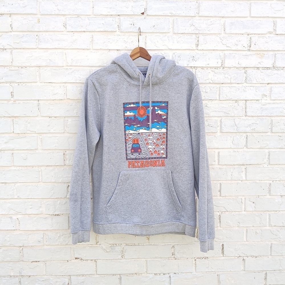 Patagonia Summit Road Gray Graphic Sweatshirt Hoodie - Picture 2 of 8